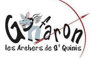 Championnat Départemental de Tir 3D